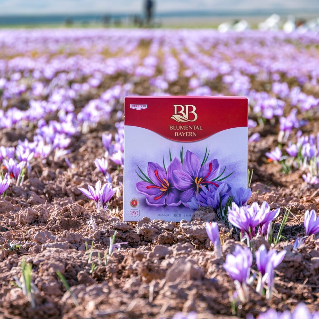 Premium red Blumental Bayern saffron box resting on sunlit soil in a blooming field of purple saffron crocus flowers
