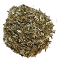 Skullcap herb — ingredient in Moly Organic Herbal Tea Harmony
