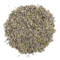 Lavender flowers — ingredient in Moly Organic Herbal Tea Night Cup