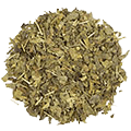 Ginkgo biloba leaves — ingredient in Moly Organic Herbal Tea Energy